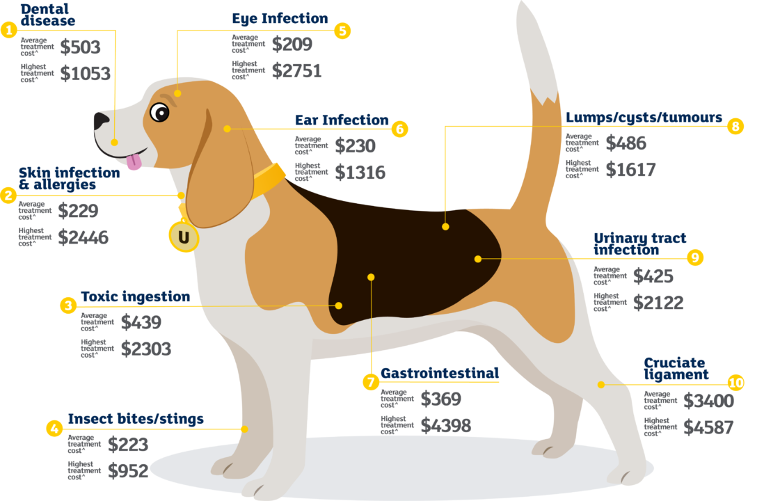 Average treatment costs for a dog