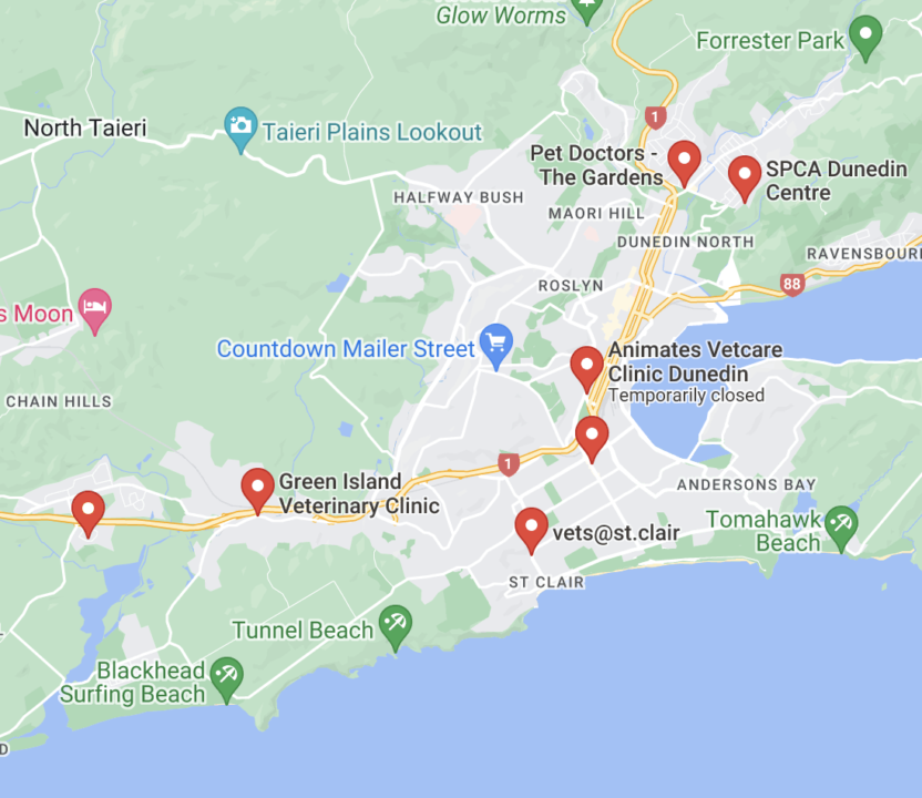 Map of the clinics where you can euthanize your dog or your cat in Dunedin