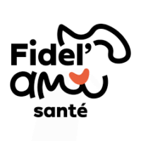 Fidelami